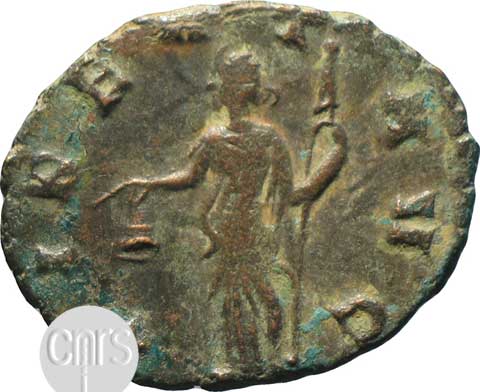 reverse