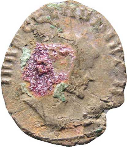 obverse