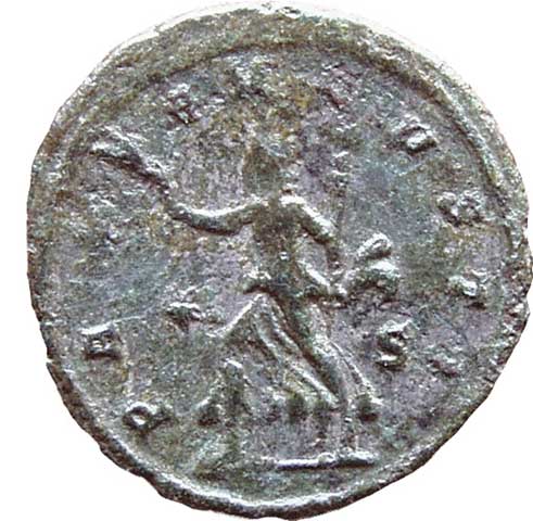 reverse