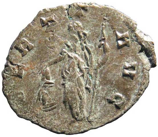 reverse
