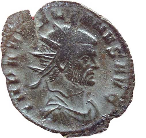 obverse