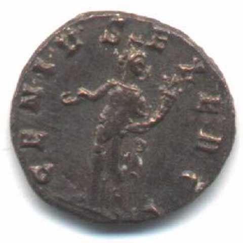 reverse