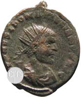Obverse coin